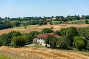 Gascogne immobilier : marché, conseils et opportunités d’investissement
